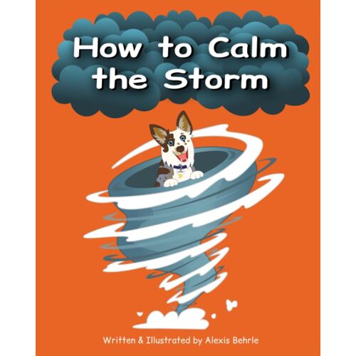 How To Calm The Storm