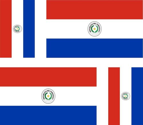 4 X Autocollant Sticker Voiture Moto Valise Pc Portable Drapeau Paraguay Paragua