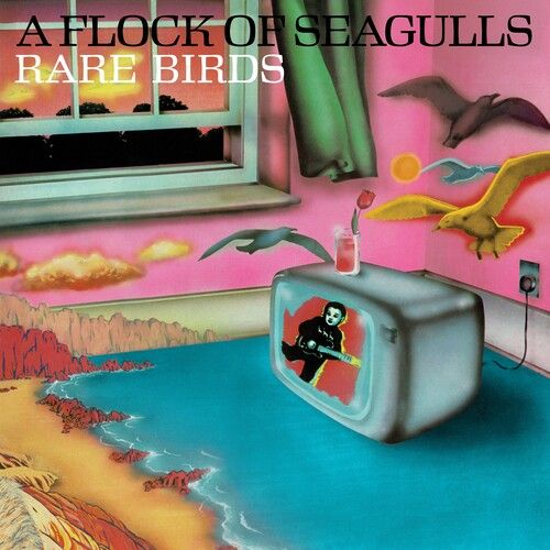 Rare Birds - 'a Flock Of Seagulls' B-Sides, Edits And Alternate Mixes (Rsd23 Ex)