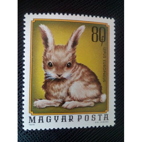 Timbre Hongrie Yt 2406 Lièvre D'europe (Lepus Europaeus) 1974 ( 0030805 )