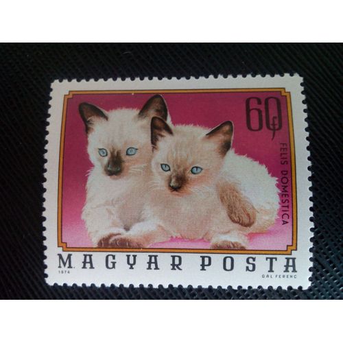 Timbre Hongrie Yt 2405 Chat Siamois (Felis Silvestris Catus) 1974 ( 0030805 )
