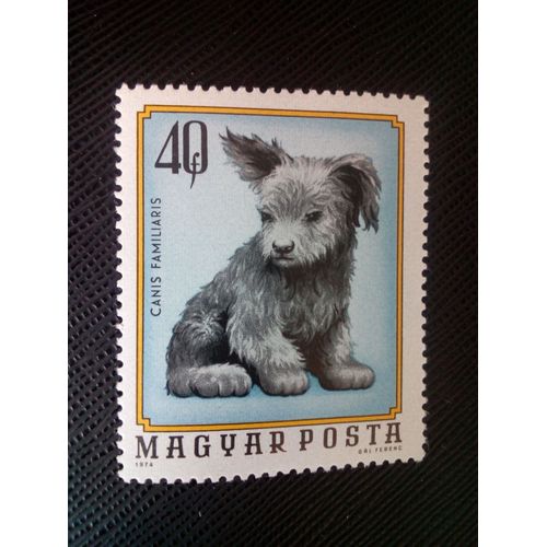 Timbre Hongrie Yt 2404 Chien (Canis Lupus Familiaris) 1974 ( 0030805 )