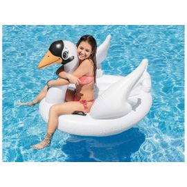 Cygne Gonflable Géant