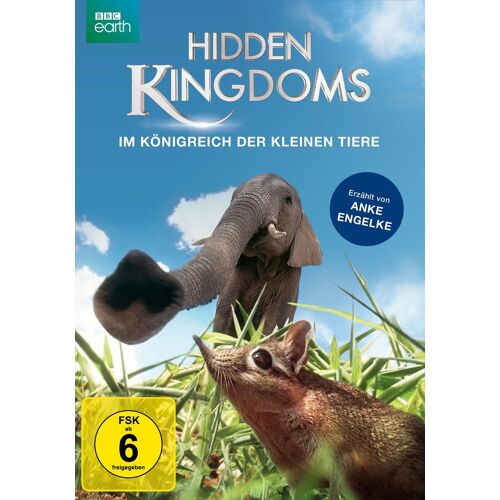Hidden Kingdoms - Im Königreich Der Kleinen Tiere