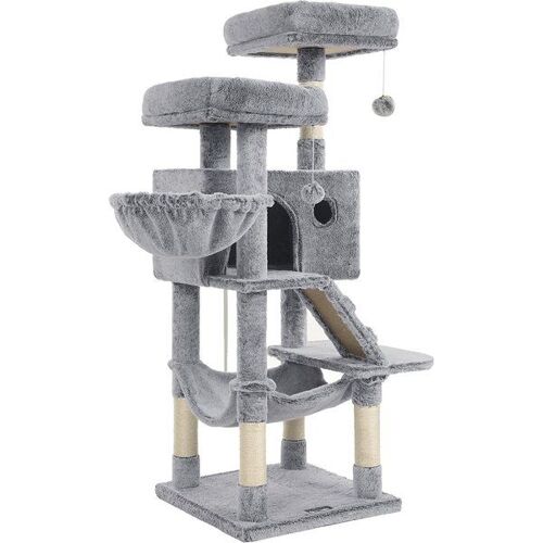 Arbre À Chat Grand, Gris Bleuatre