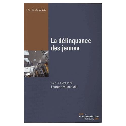 La Délinquance Des Jeunes