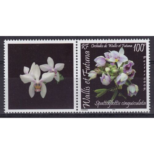 Wallis Et Futuna 2005 : Flore : Fleurs : Orchidées : Spattoglottis Cinquiculata - Timbre 100 F. Neuf ** Avec Vignette En Fleurs