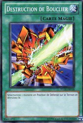 Destruction De Bouclier Tu05 Fr018