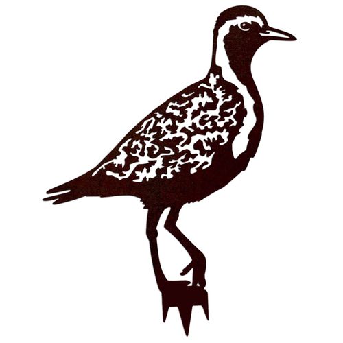 Pluvier Doré À Planter En Acier Corten