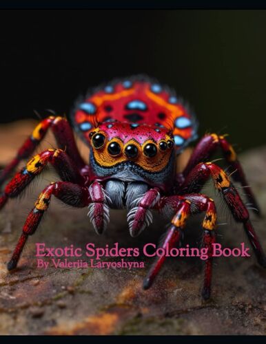 Exotic Spiders Coloring Book