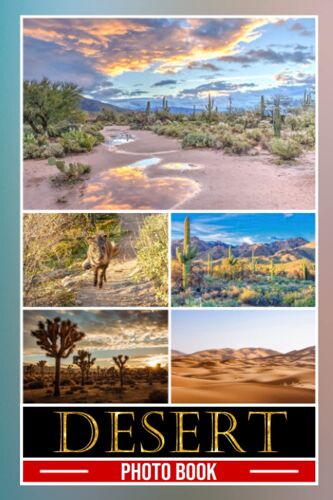 Desert Photo Book: Wonderful Desert Pictures For All Ages | Ideal Gift To Release Pressure And Stressful