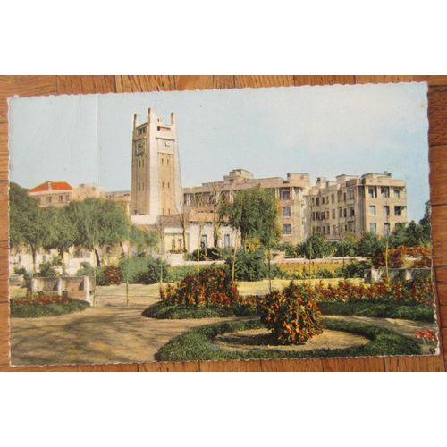 Carte Postale Algérie Mostaganem (Oran) Un Coin Des Jardins Et L'hôtel De Ville 9/14 Cm