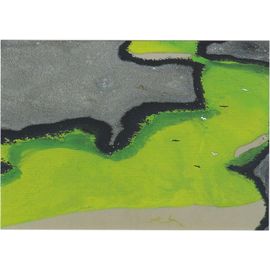 La Terre Vue Du Ciel : Oiseaux Volant Au Dessus Du Lagon Près Des Mangroves De San Blas, État De Nayarit, Mexique - Carte Postale Grand Format - Yann Arthus-Bertrand