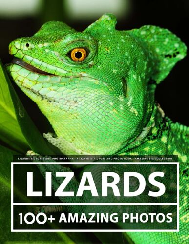 Lizard Pictures And Photography - A Lizards Picture And Photo Book - Amazing Big Collection: 100+ Amazing Pictures Of Lizards In This Beautiful Lizard Photo Book