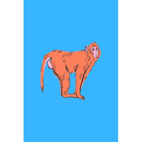 Notebook: Monkey Inspired Lined Notebook