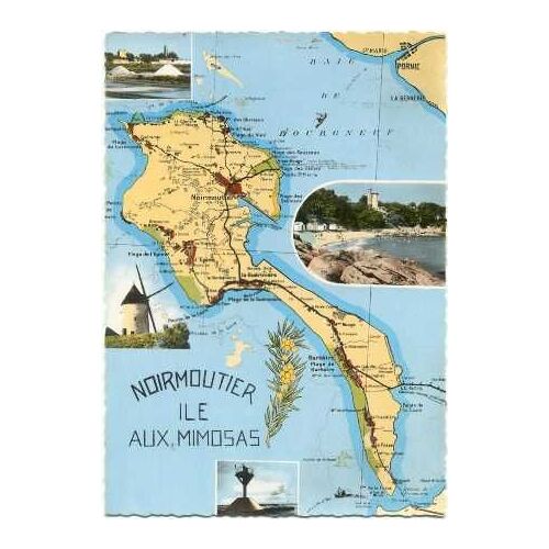 Vendée 1724. Île De Noirmoutier Carte Postale Géographique Multivues Map Postcard Windmill Mimosa Moulin À Vent 