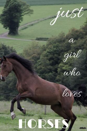 Just A Girl Who Loves Horses: Blank Lined Notebook To Write In For Notes| Funny Cute Gifts For Horses Lover | 6 X 9 Inches ,110 Lined Pages