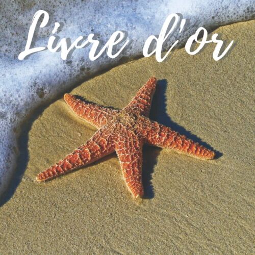 Livre D'or: Livre D'or Et De Souvenirs Pour Hôtel, Restaurant, Chambres D'hôtes, Gîte, Pension, Location Vacances,Location Meublée, Location Saisonnière Et Camping | Thème Étoile De Mer|101 Pages | Fo