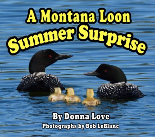 A Montana Loon Summer Surprise