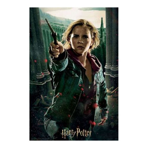 Puzzle 3d Harry Potter Hermione Granger Battle Prime3d (300 Pcs)