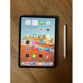 iPad Pro 11" (2018) 256Go - Argent WiFi + 4G