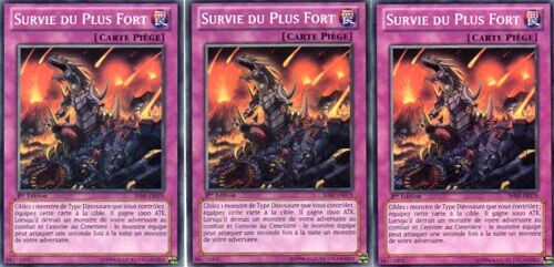 3 X  Survie Du Plus Fort   -  Shsp-Fr079