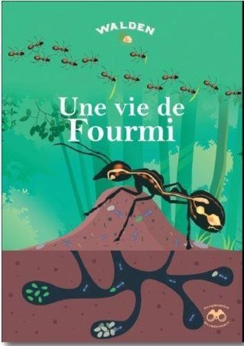 Un Travail De Fourmi