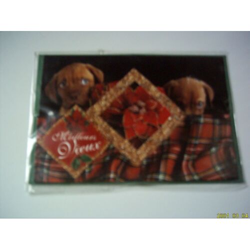 Carte  " Meilleurs Voeux "  Avec 2 Petits Chiots.