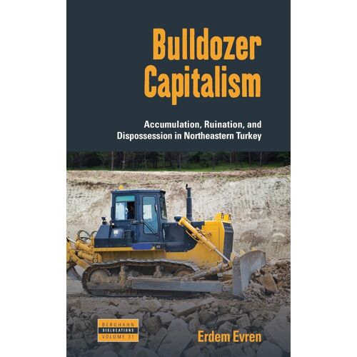 Bulldozer Capitalism