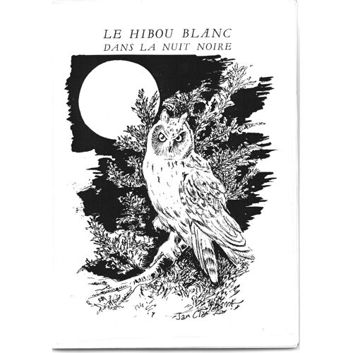 Livre Recueil De Poèmes / Le Hibou Blanc Dans La Nuit Noire / Jan Clo 2001