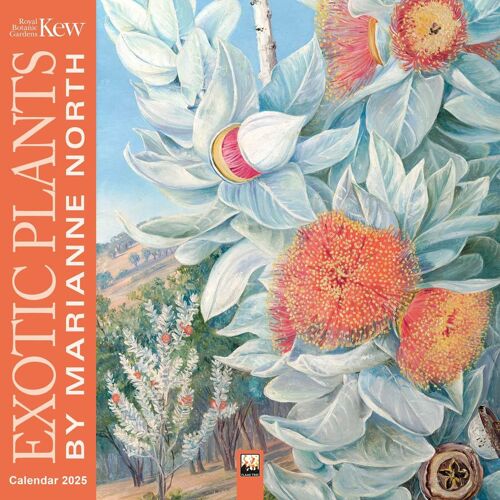 Kew Gardens: Exotic Plants By Marianne North Wall Calendar 2025 (Art Calendar)