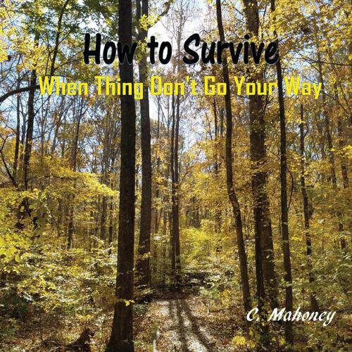 How To Survive When Things Don't Go Your Way