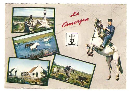 Bouches-Du-Rhône La Camargue En Camargue Avec Les Gardians Carte Postale Chevaux Horse Postcard Cavalli Cartolina