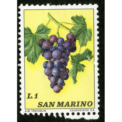 Timbre Non Oblitéré San Marino, Grappe De Raisins L. 1, Trechslin, Courvoisier