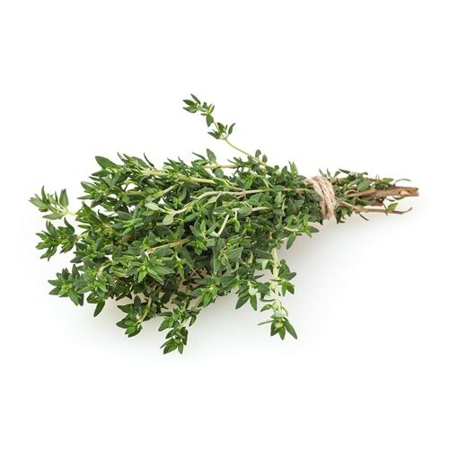 +/- 1500 Graines De Thym – Thyme Seeds