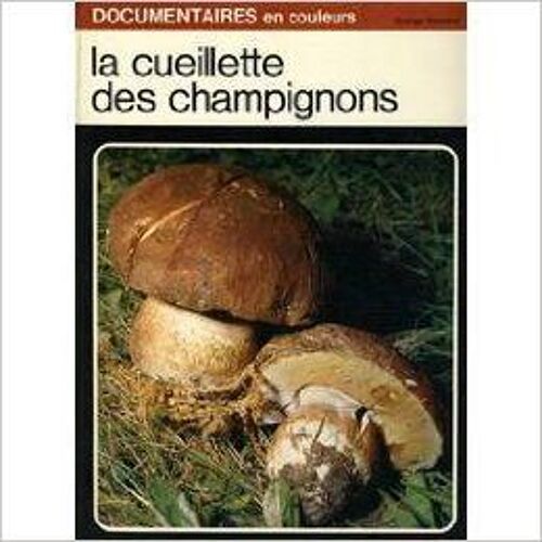 La Cueillette Des Champignons.