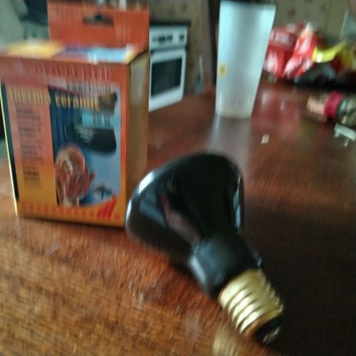 Radiateur Chauffant Pour Terrarium Amphibien Et Reptile