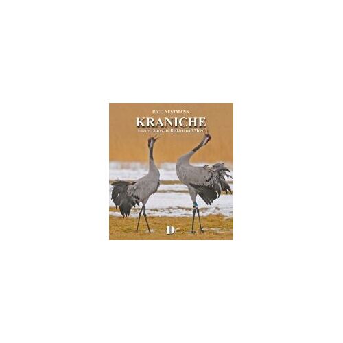 Kraniche