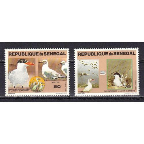 Senegal 1981 : Parcs Nationaux : Faune Des Mers : Oiseaux : Mouettes Et Sterne Caspienne / Sterne Hansel Et Goélands - Série De 2 Timbres Neufs **