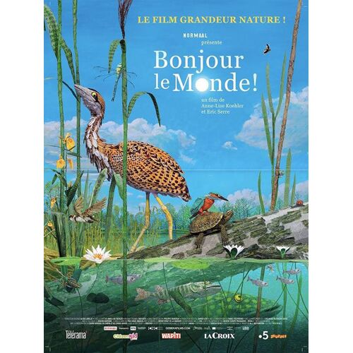 Bonjour Le Monde - Véritable Affiche De Cinéma Pliée - Format 40x60 Cm - De Anne Lise Koehler Et Eric Serre Avec Les Voix De Kaycie Chase, Boris Rehlinger - Animation - 2019