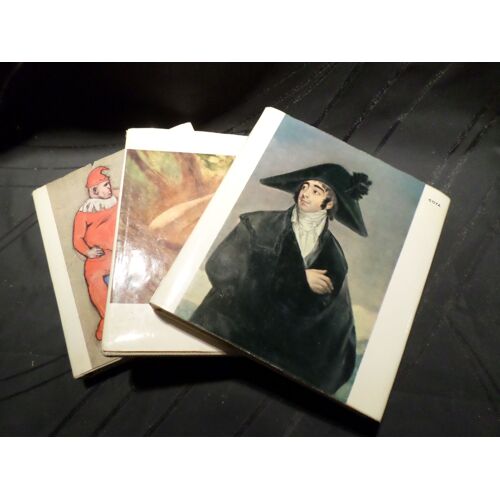 Lot De 3 Livres D'art Editions Skira Picasso Renoir Goya 1953