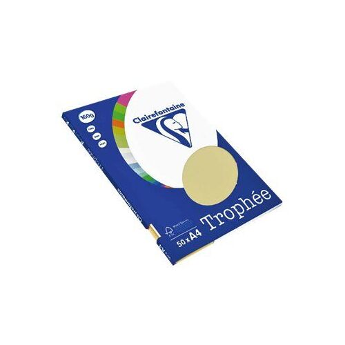 Clairefontaine Trophee Ppp - Papier Ordinaire - Bleu Turquoise - A4 (210 X 297 Mm) - 160 G/M² - 50 Feuille(S)