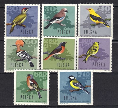 Pologne 1966 : Oiseaux Des Forêts : Pivert/Geai/Loriot/Huppe/Rouge-Queue/Serin/Pinson/Mésange À Tête Noire - Série Entière De 8 Timbres Neufs ** Cote 14 ¿ 