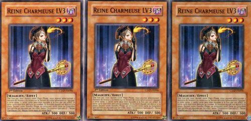 3 X  -  Reine Charmeuse Lv3 -  Cdip Fr006
