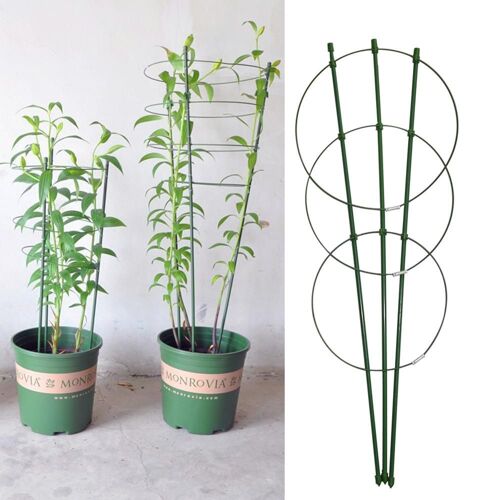 Cage De Support Pour Plantes Grimpantes, Treillis De Jardin, Anneaux De Support De Fleurs, Support De Tomate Durable Et Créatif