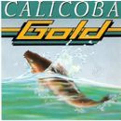 Calicoba