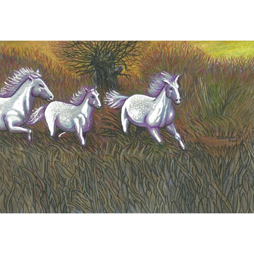 Chevaux En Camargue