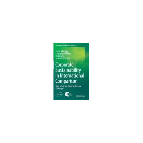 Corporate Sustainability In International Comparison