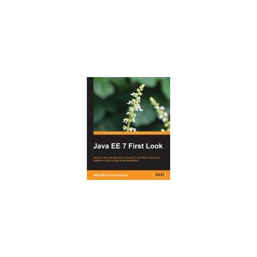 Java Ee 7 First Look