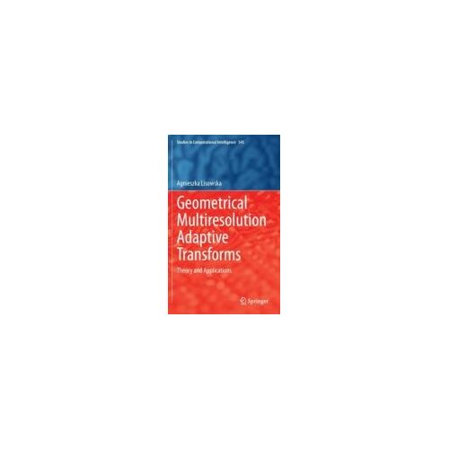 Geometrical Multiresolution Adaptive Transforms